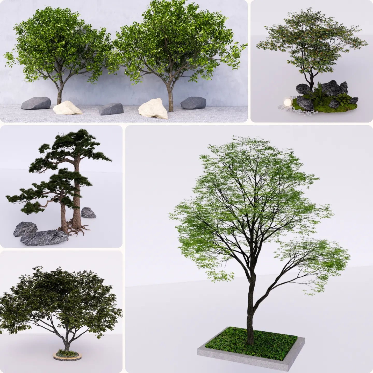 880+ SketchUp Outdoor Tree Models