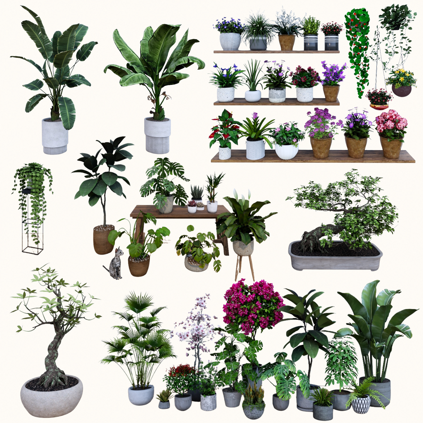 3,000+ SketchUp Potted Plant Models