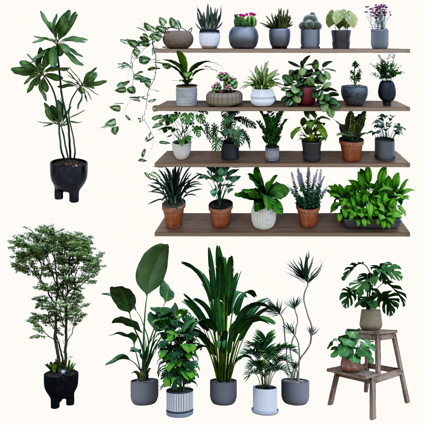 3,000+ SketchUp Potted Plant Models