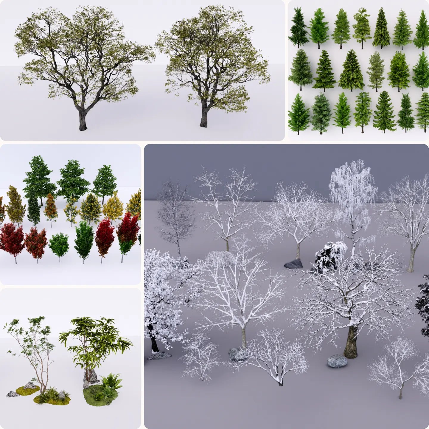 880+ SketchUp Outdoor Tree Models